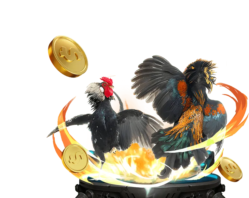 Tổng quan các ưu đãi 55winbet link mới